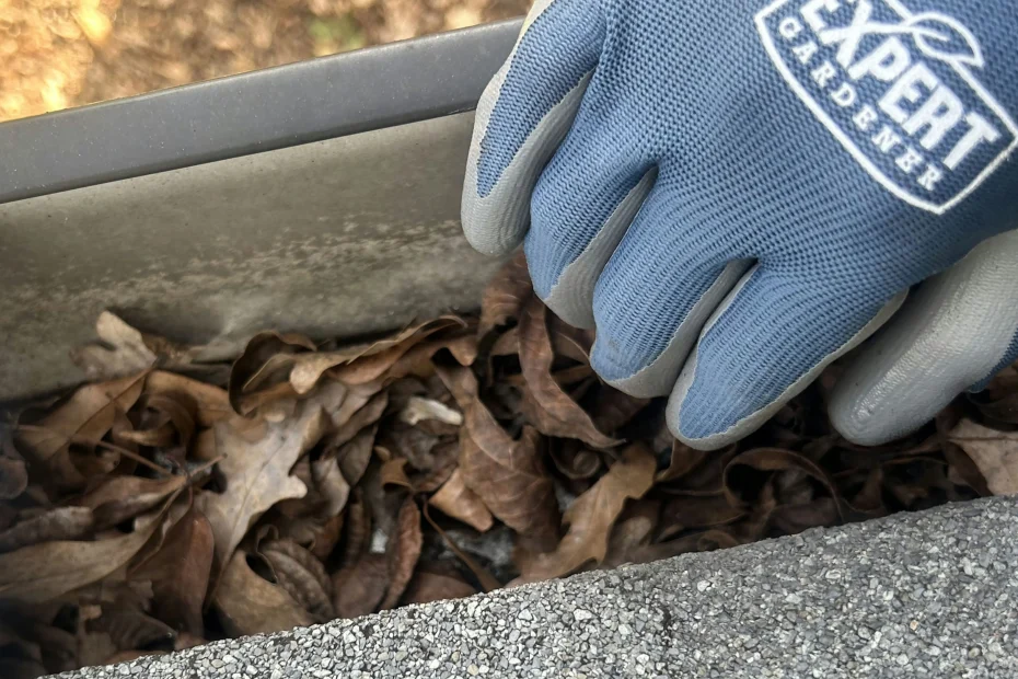 Gutter Cleaning Jenkintown