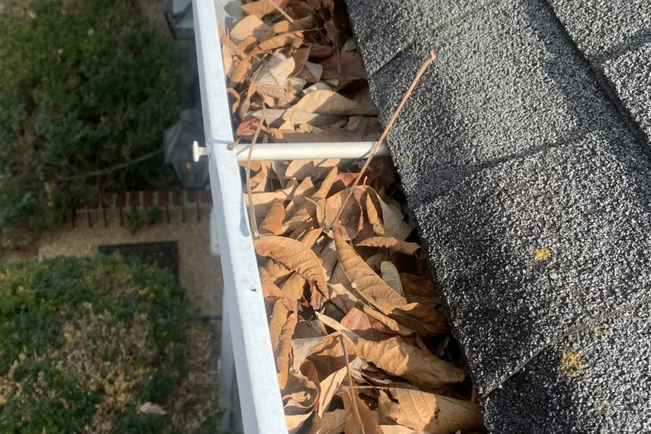 Jenkintown Gutter Cleaning